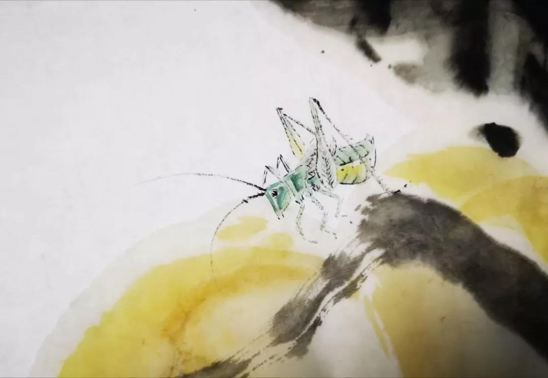 孫立軍導(dǎo)演筆下的蟈蟈